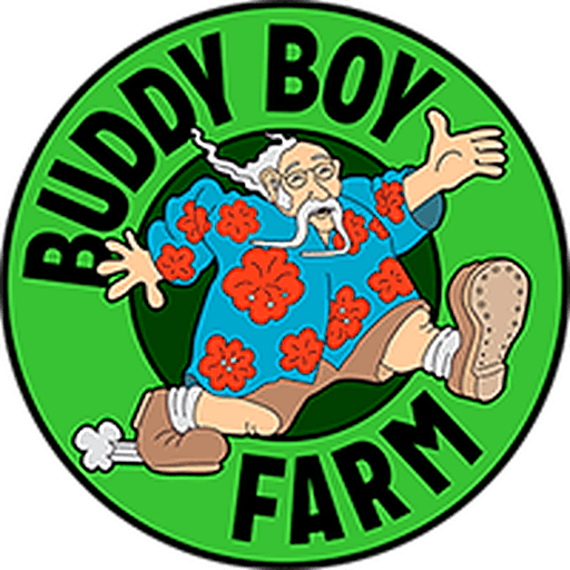 Buddy Boy Farms: Acapulco Gold Pre-roll 1g 2pk | Leafly
