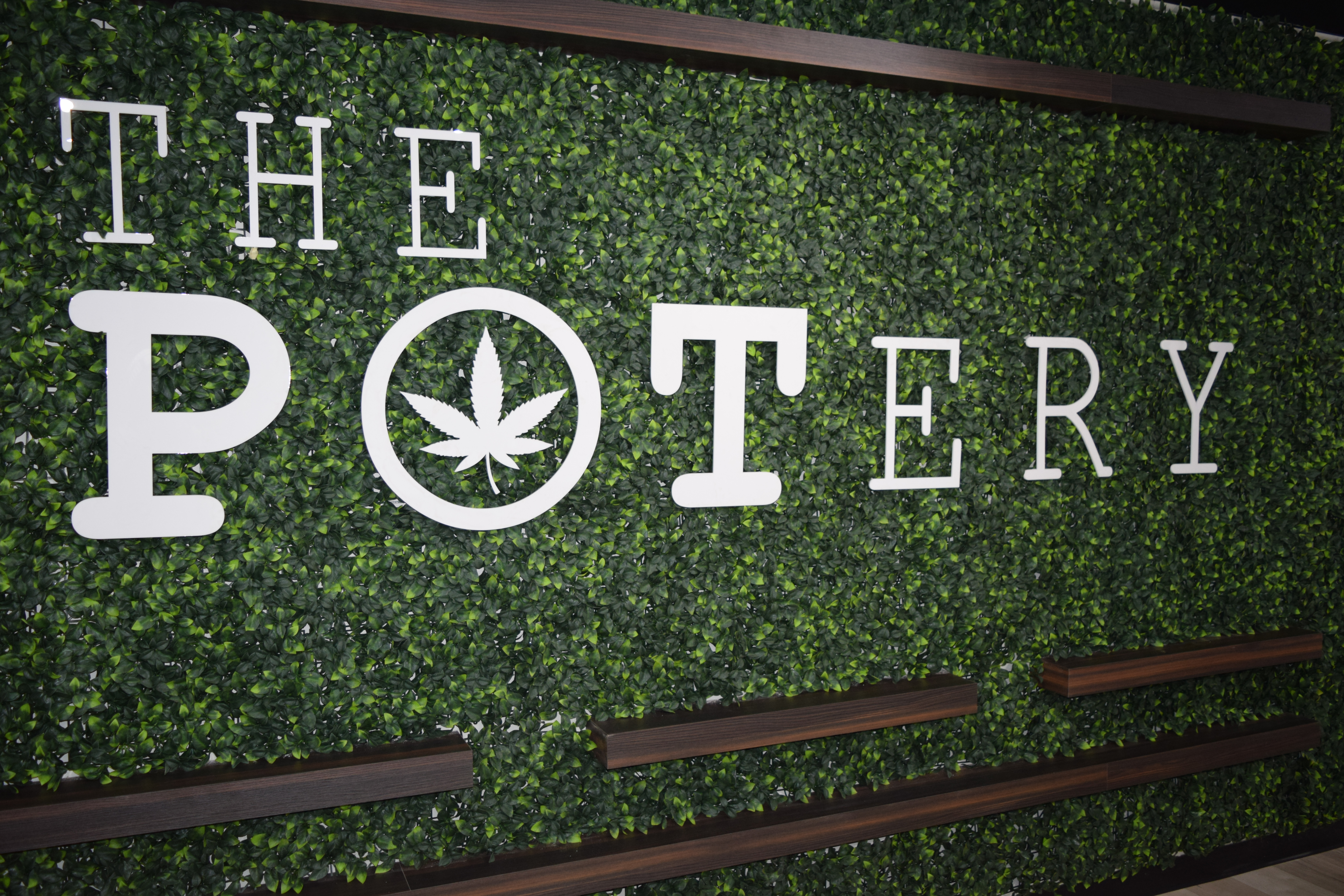 Cannabis Store The Potery - Guelph - 1