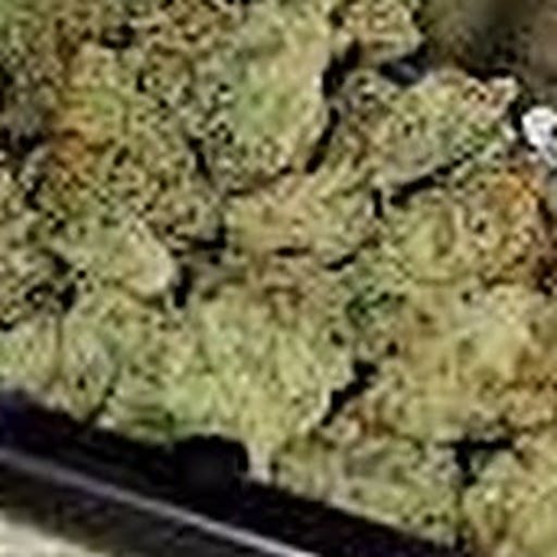 Ascend Barry Lemonade Popcorn Leafly