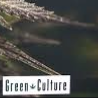 Green Culture Dispensary - Grove — Dispensaries in Grove, OK
