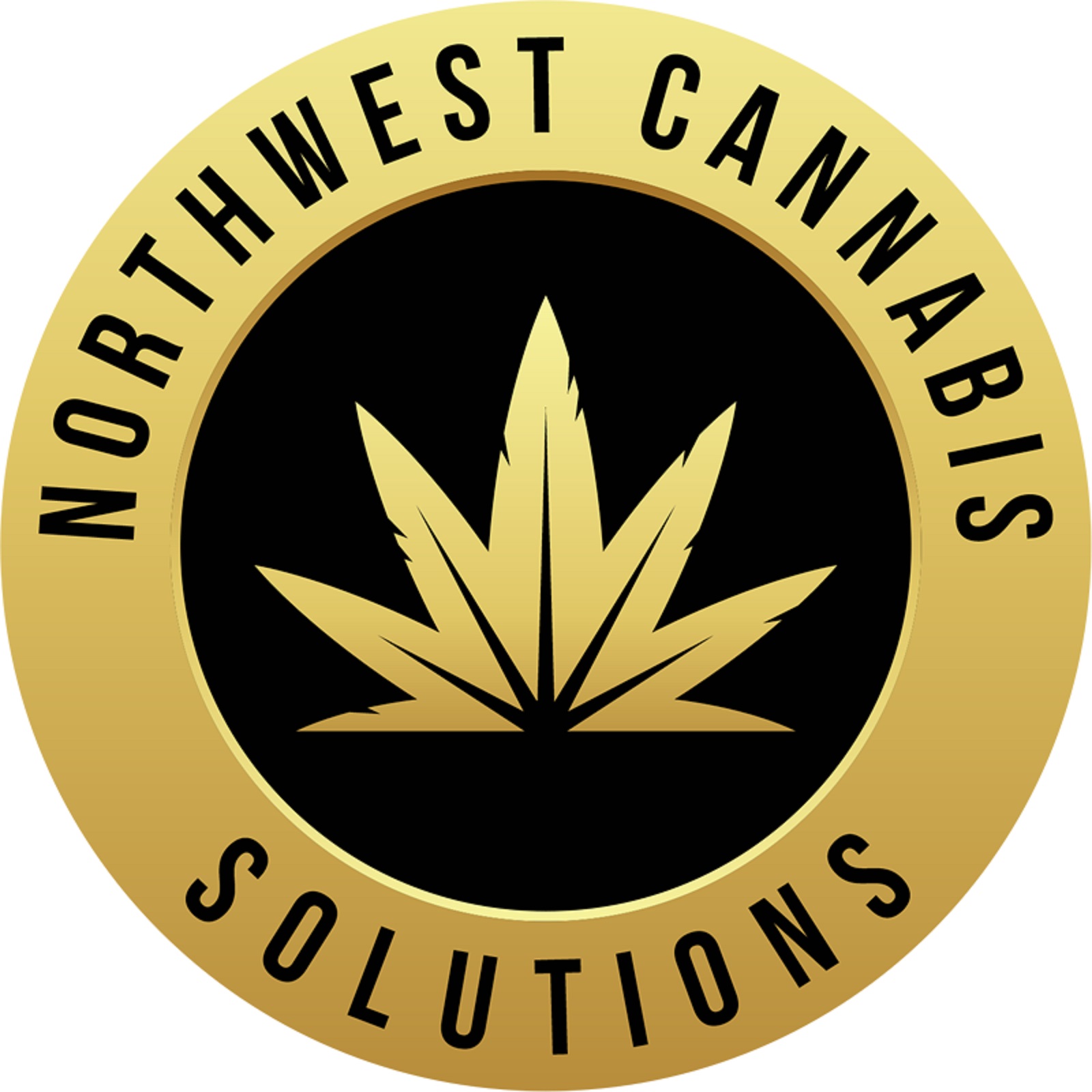 northwest cannabis solutions sour amnesia