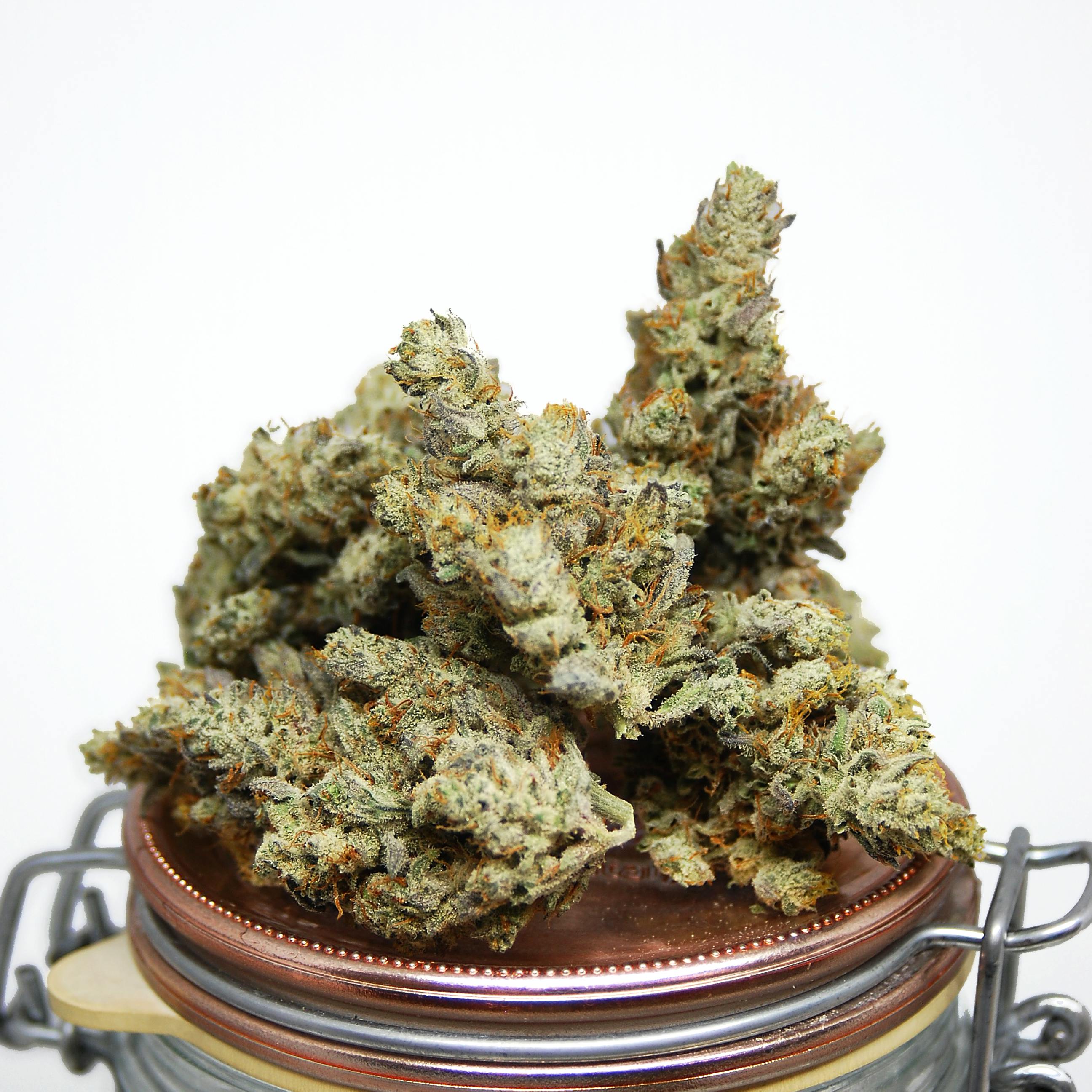 Ponderosa Releaf Copper Top Grease Monkey Leafly