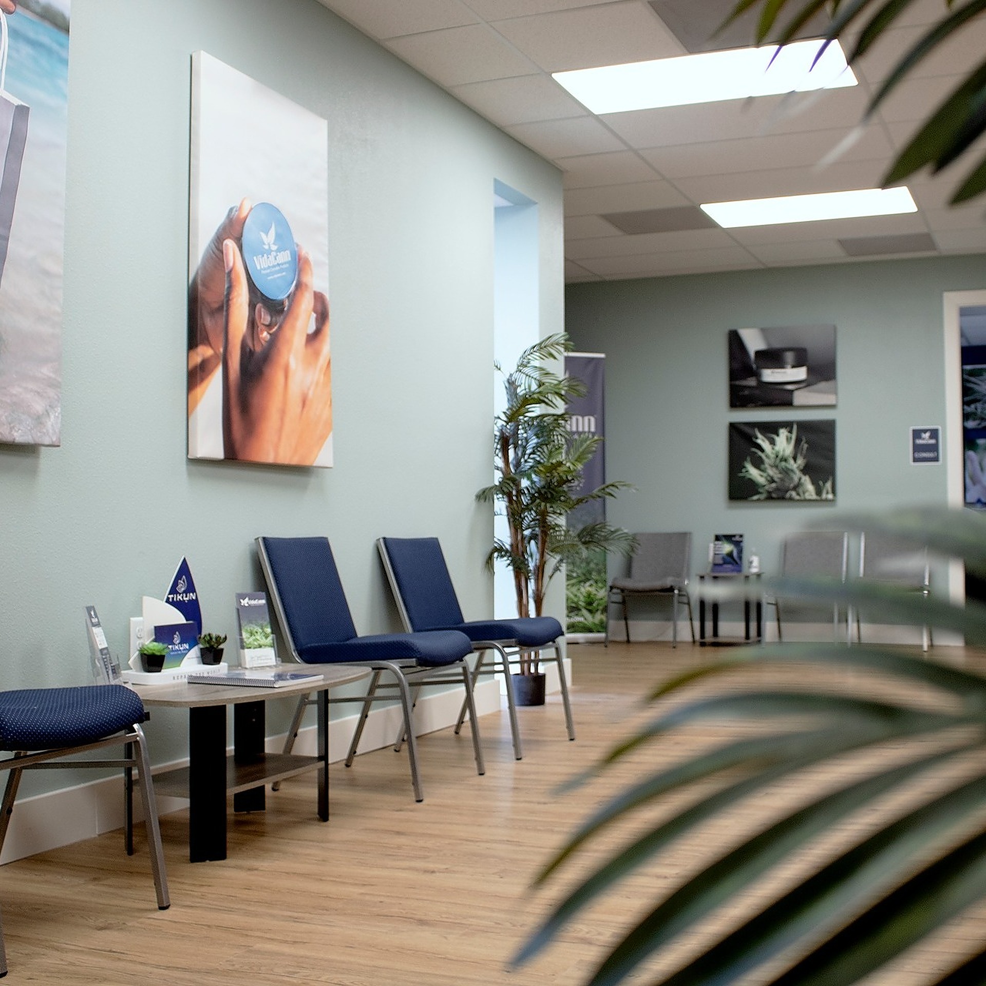 VidaCann Jacksonville Roosevelt Dispensary Menu, Reviews & Photos