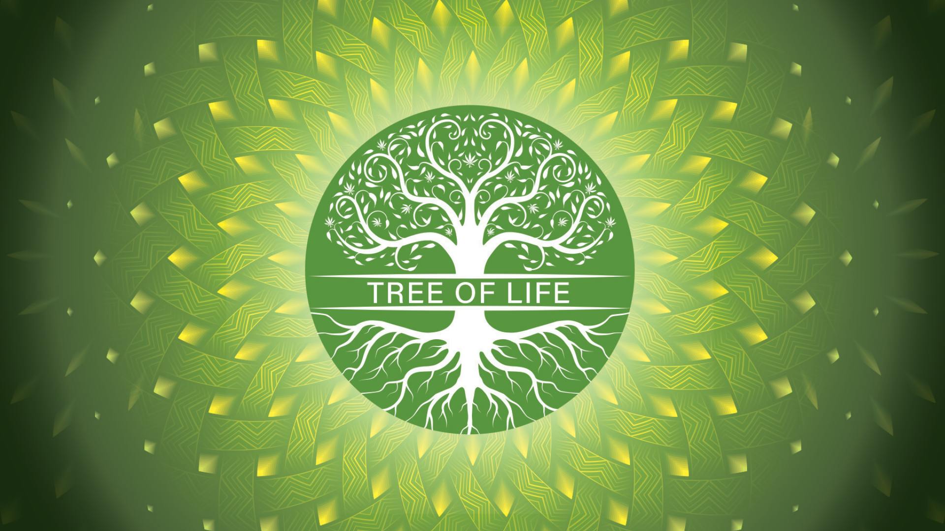 Tree of Life Weed Dispensary North Las Vegas | North Las Vegas, NV