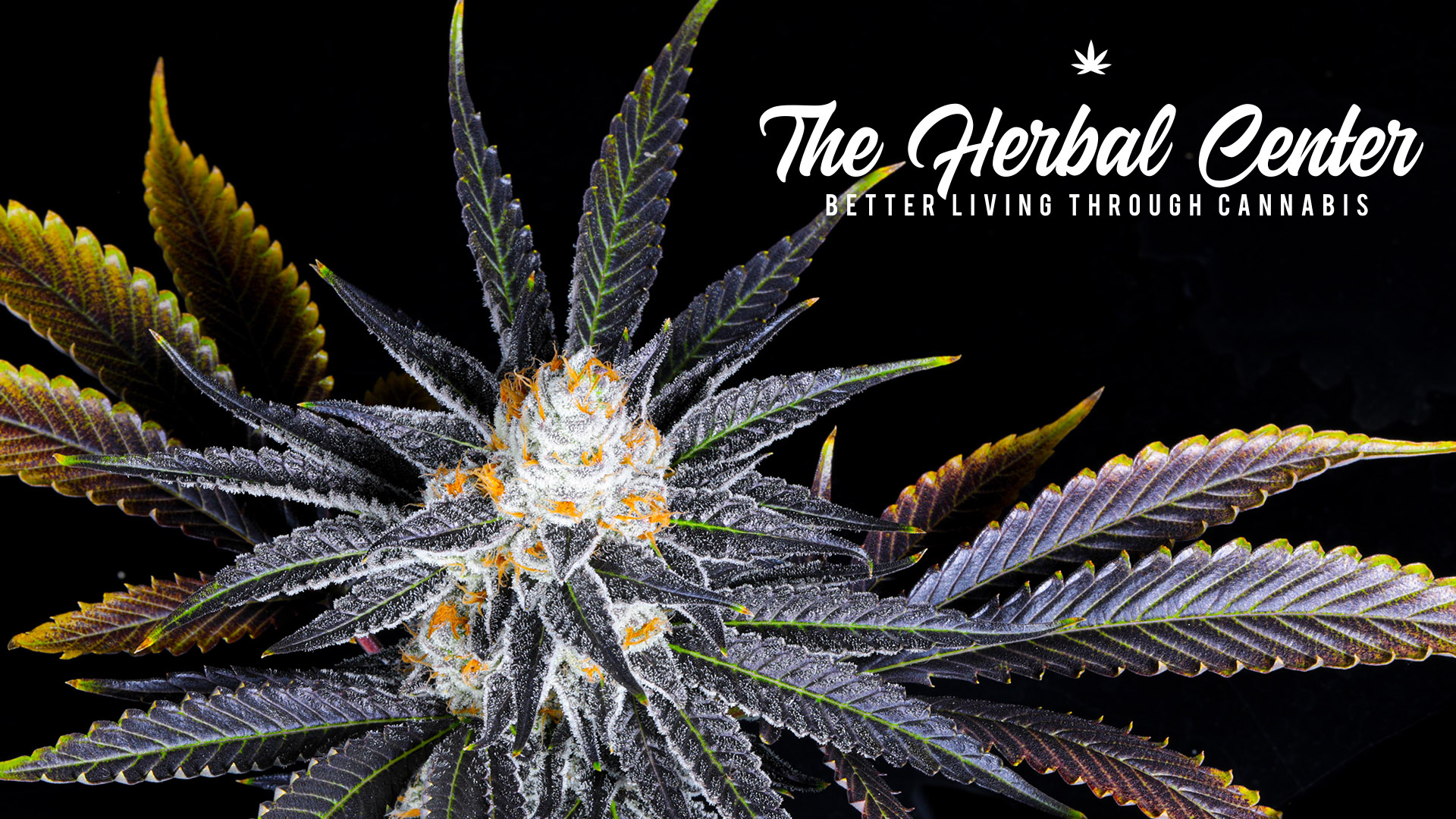 The Herbal Center Peoria (MED) Dispensary Menu, Reviews & Photos