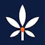 Logo for nuEra Chicago (Recreational)