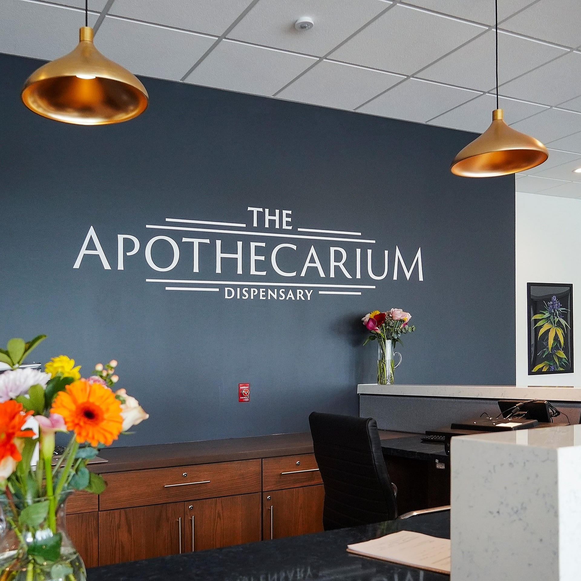 Apothecarium Maplewood Nj - 7j53ijq