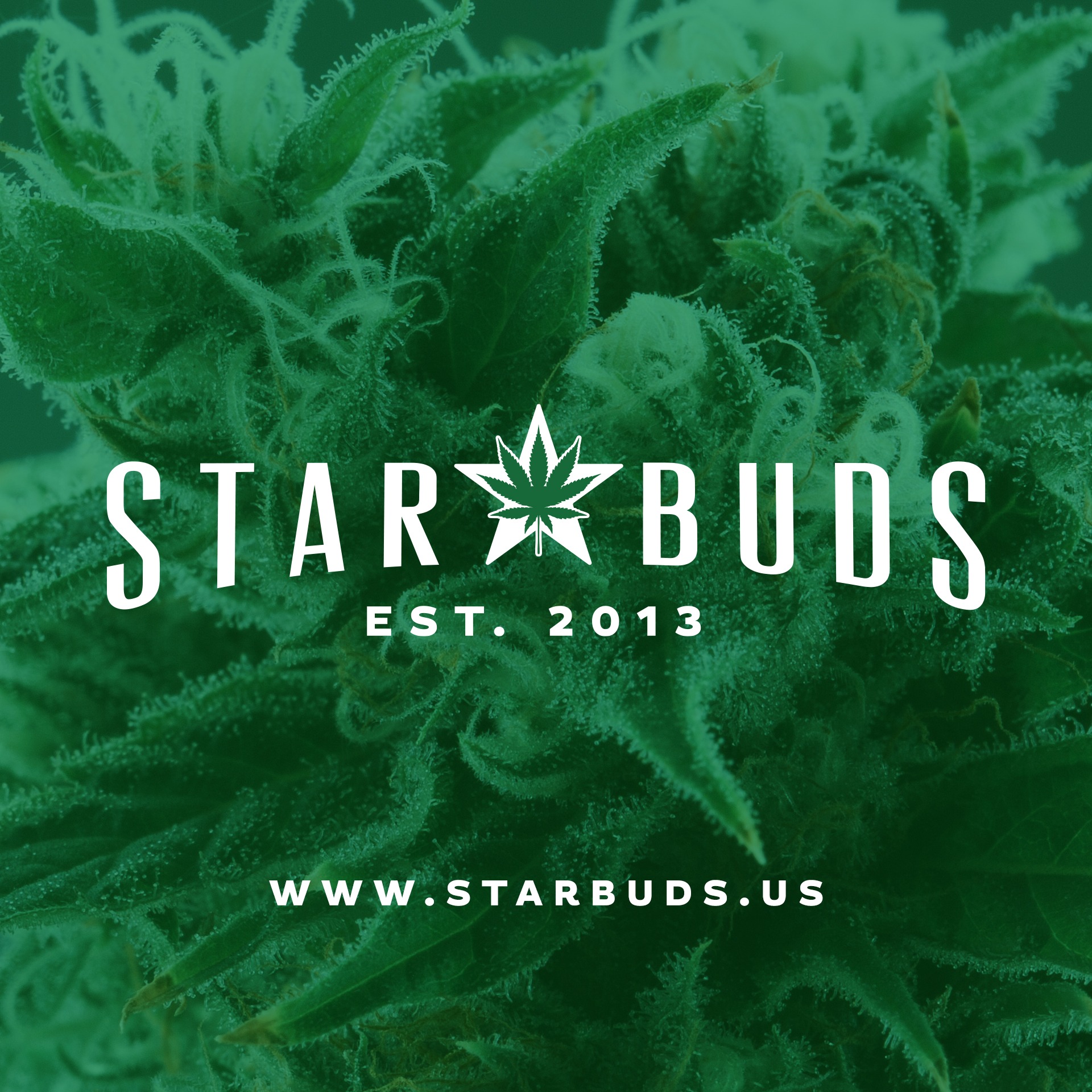 Star Buds Bricktown — Dispensaries in Oklahoma City, OK