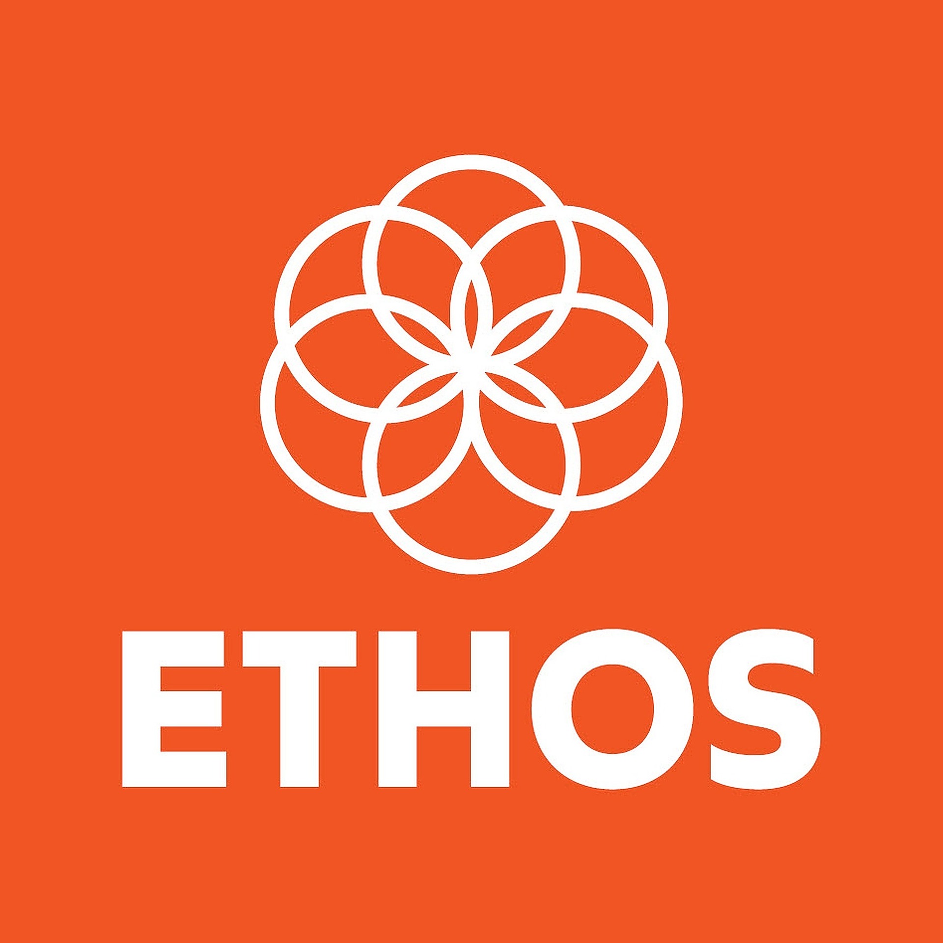 Ethos Hazleton Beyond The Hype