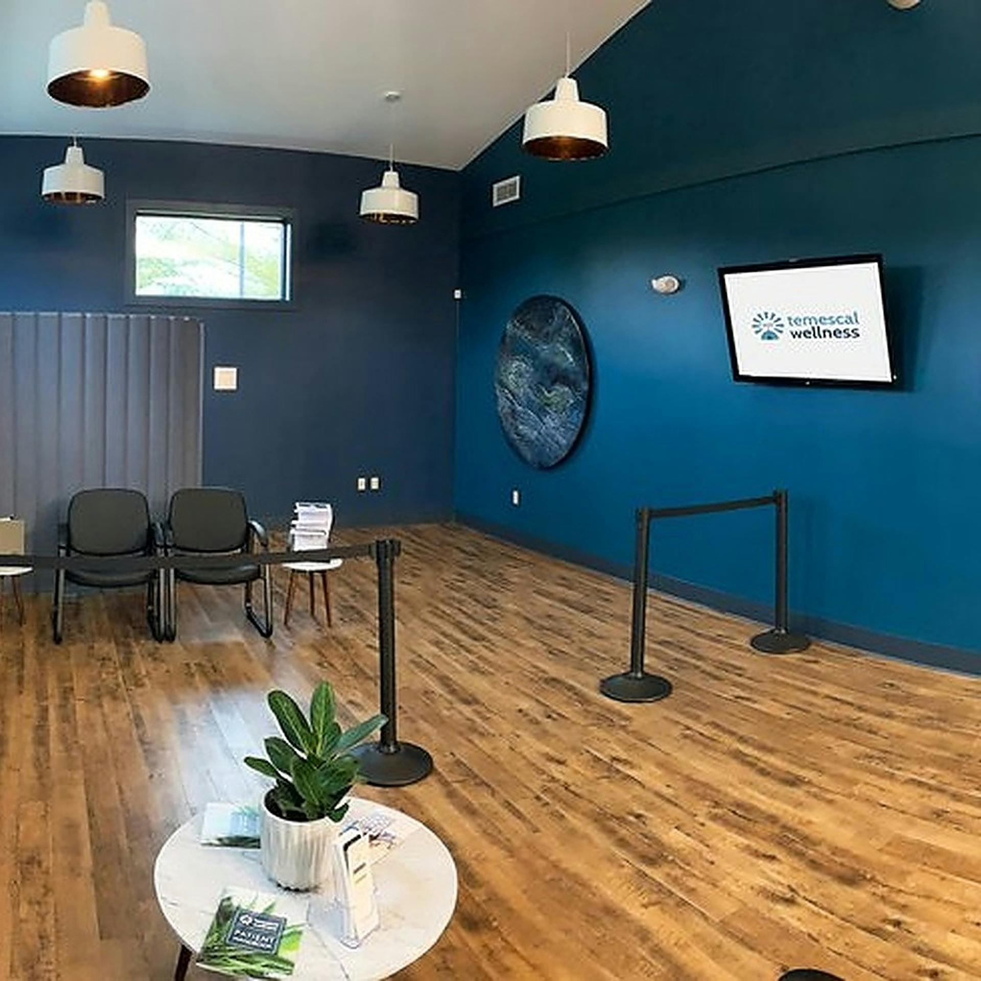 Temescal Wellness Pittsfield (Recreational) Pittsfield, MA