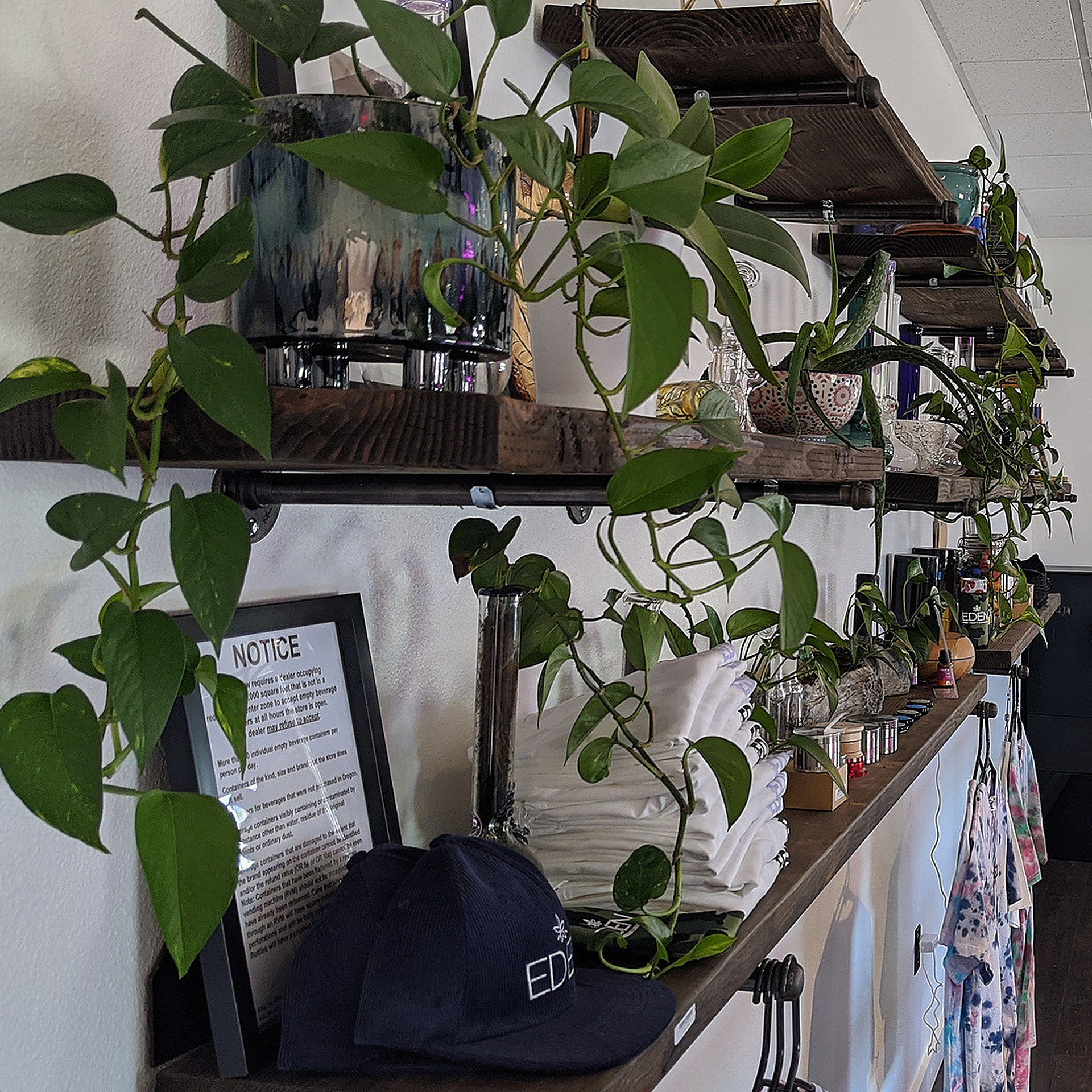 Eden Cannabis Sandy Blvd. Dispensary Menu, Reviews & Photos