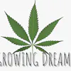 Growing Dreams Dispensary