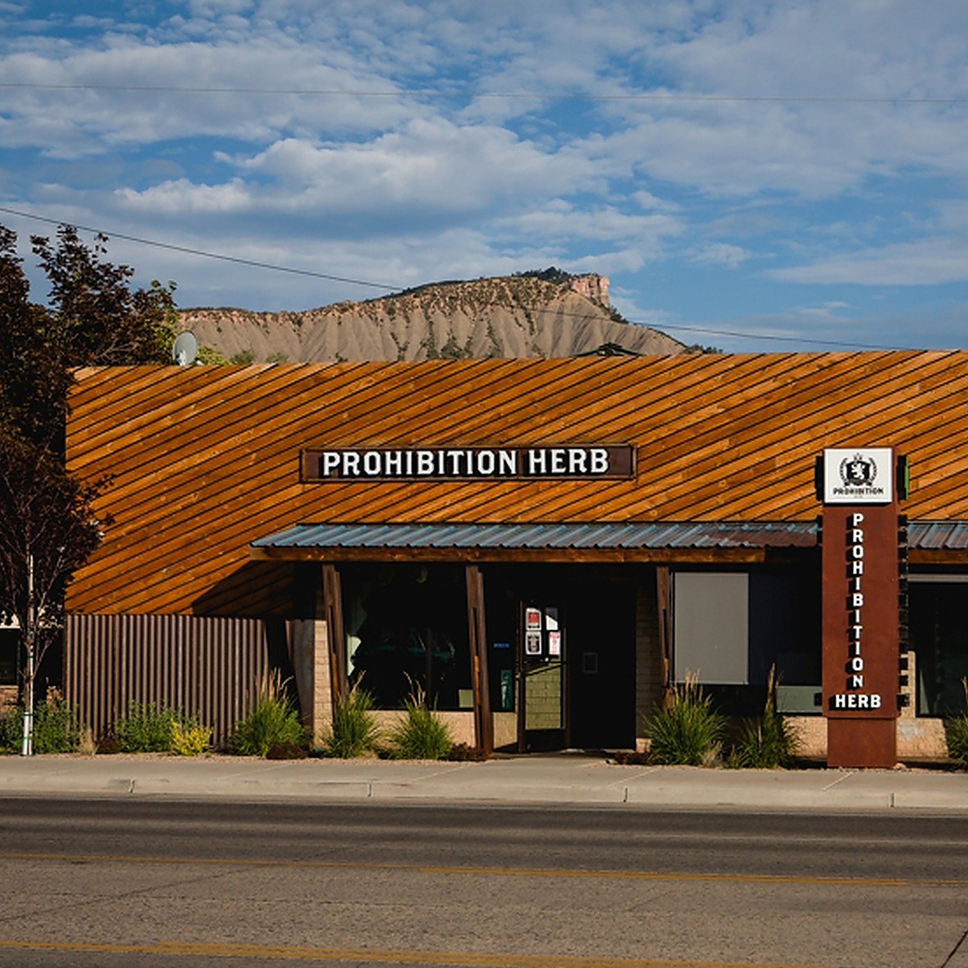 Prohibition Herb