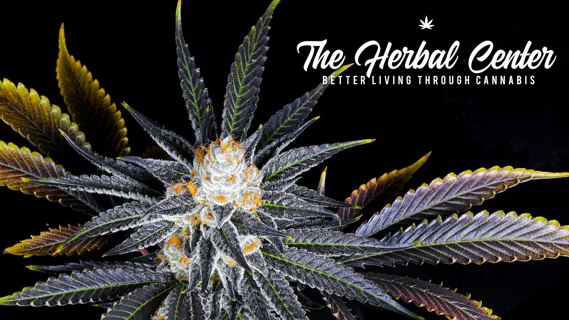 The Herbal Center Peoria (REC) Denver, CO Dispensary Leafly