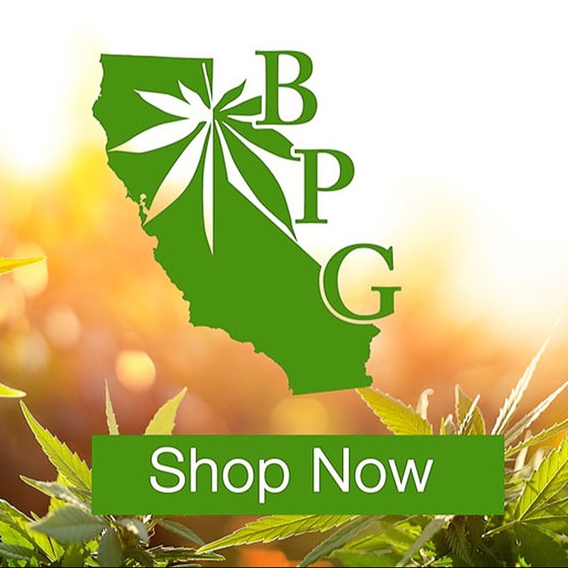 Berkeley Patients Group | Berkeley, CA Dispensary | Leafly