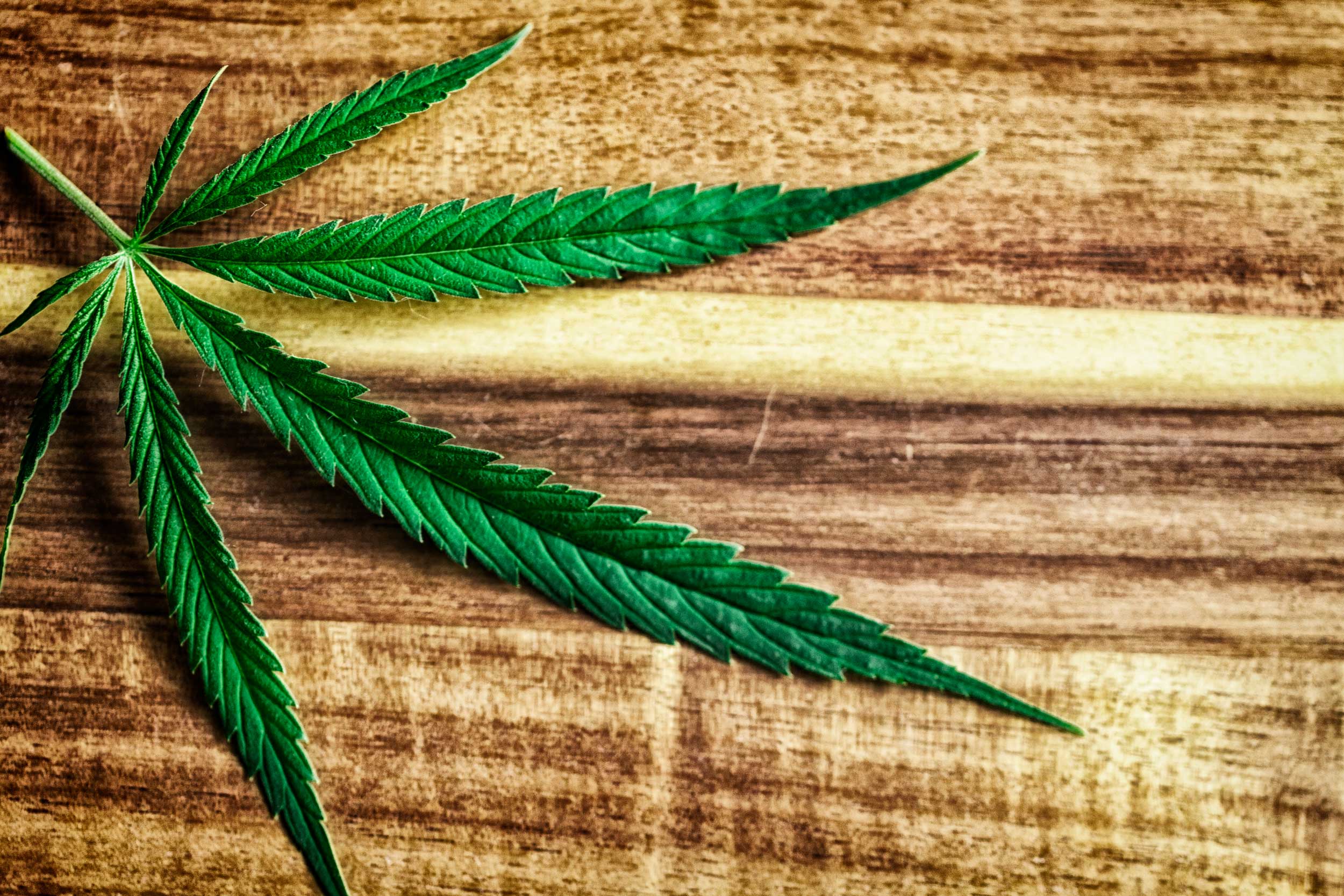 Keyway Marketplace - Jefferson — Dispensaries in Albuquerque, NM