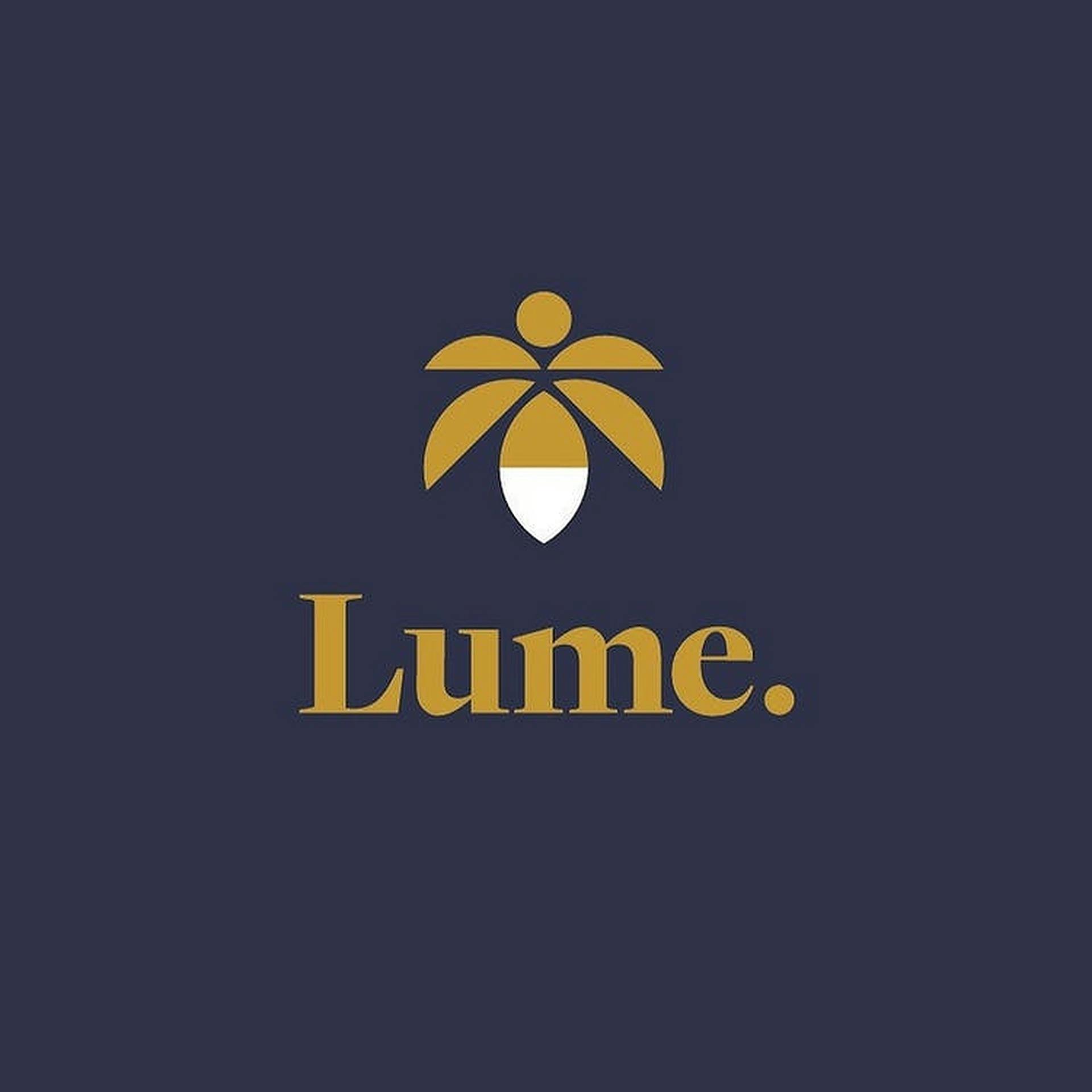 Lume Cannabis Co. - Christmas | Christmas, MI Dispensary | Leafly