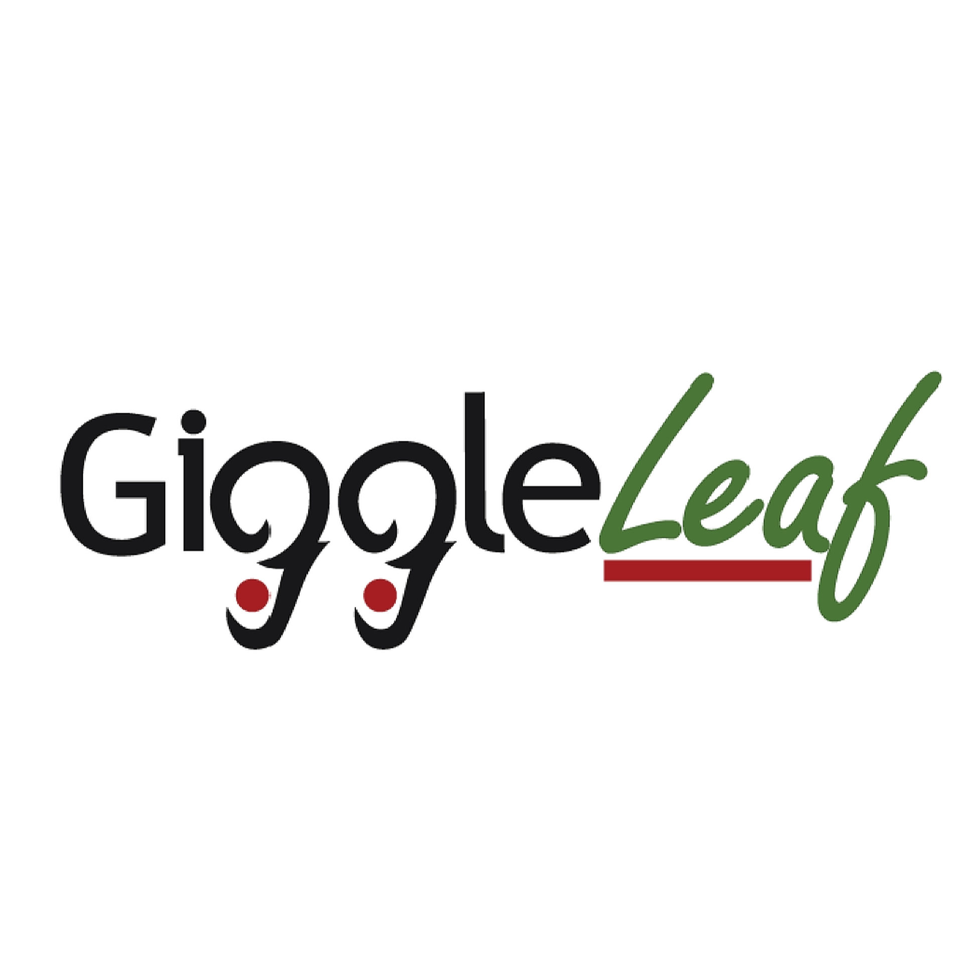 Giggle Leaf | Dispensary Menu, Reviews & Photos