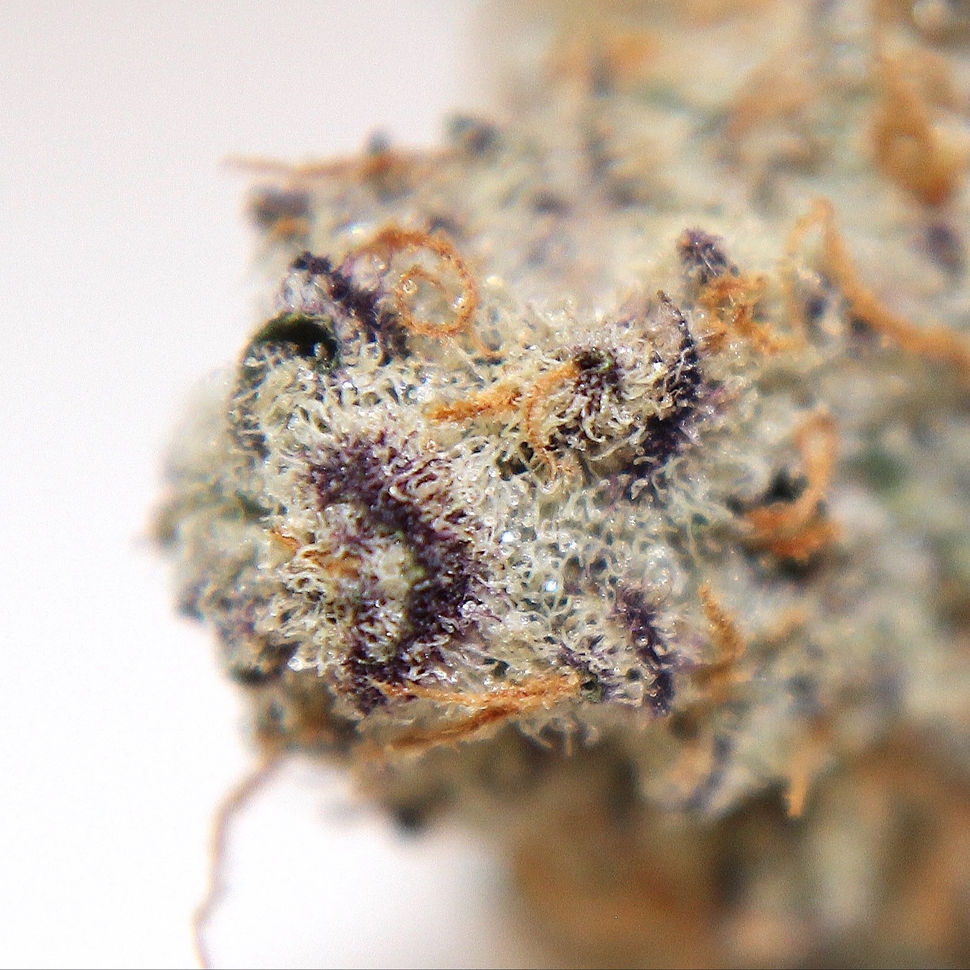 Three Rivers Dispensary - MED | Dispensary Menu, Reviews & Photos