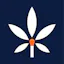 Logo for nuEra Urbana (Recreational)