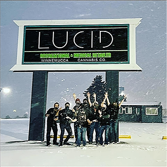 Lucid Winnemucca