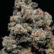 Product image for Huckleberry Kush