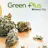 Green Plus - Midwest City logo
