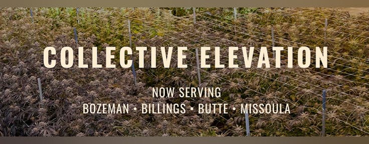 Collective Elevation - Butte