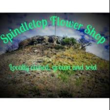 Spindletop Flower Shop — Dispensaries in Cement, OK
