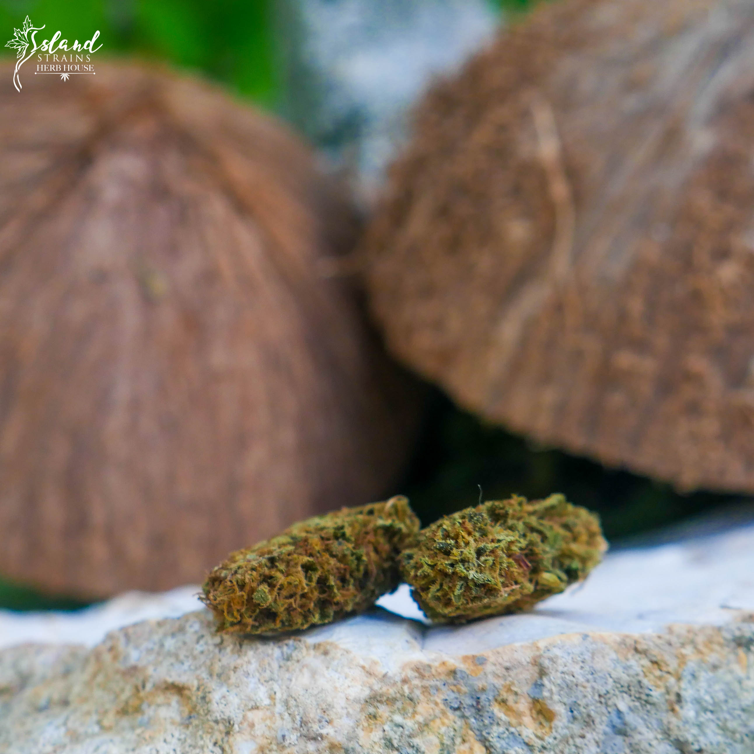 Island Strains Herb House Menu Leafly