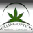 Healing Options logo