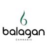 Balagan Cannabis - Northampton