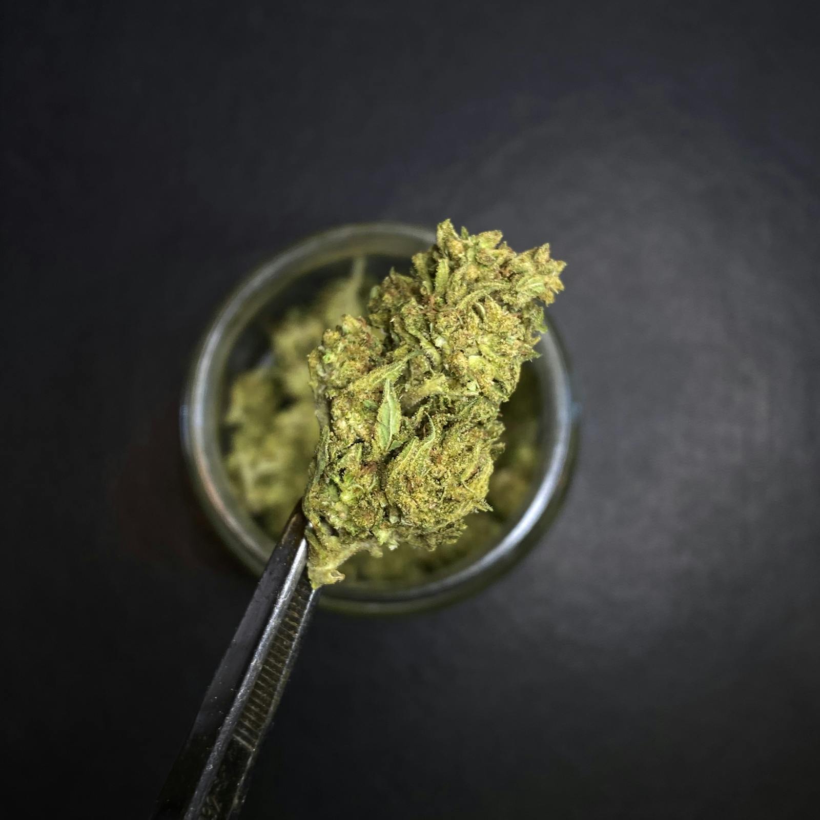 Crypto Cookies Strain Leafly - mx6ffwm