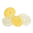 Product image for 2:1 Pineapple Starfruit Chill Bliss Gummy