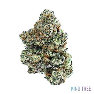 Photo of Rntz / Runtz