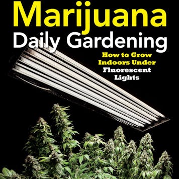 Photo of Marijuana: Daily Gardening