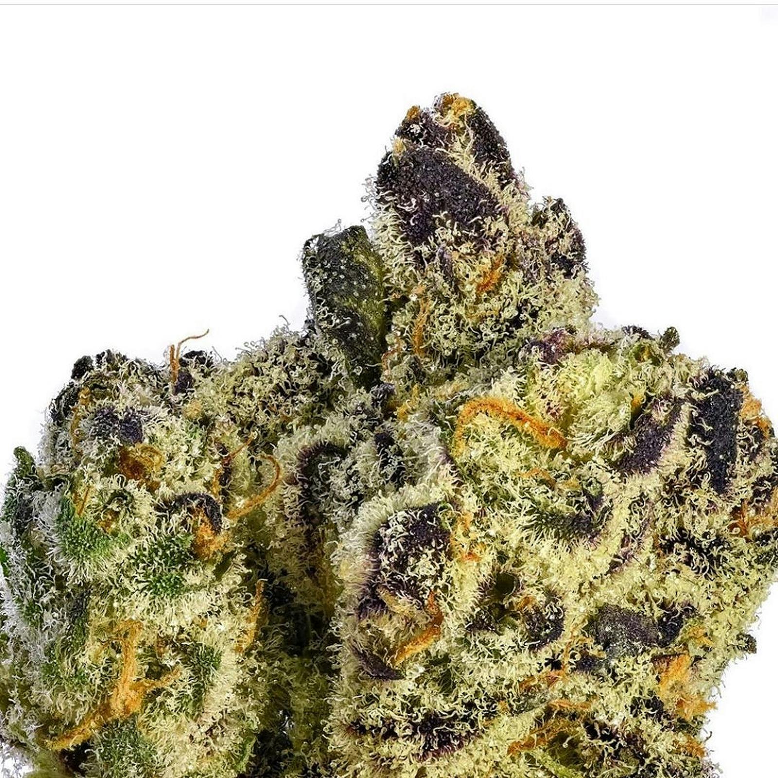 Pistil Point Premium Cannabis Garlic Breath (Pistil Point) Leafly