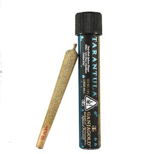 Photo of Lemon Creamsicle Blue Tarantula Infused Pre-Roll 1.2g