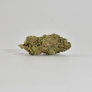 Product image for Raspberry Glue