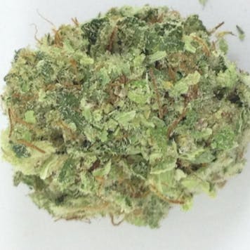 Product image for King Kong