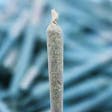 Product image for The Cake Infused Pre-Roll 1g