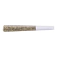 Product image for Exotic Gas Pre-Roll 1g